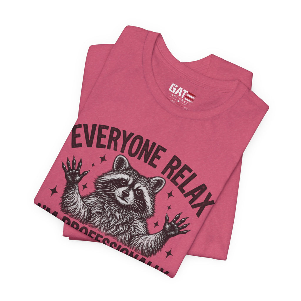 Funny Teacher Raccoon Shirt – I’m Professionally Developed – product photo