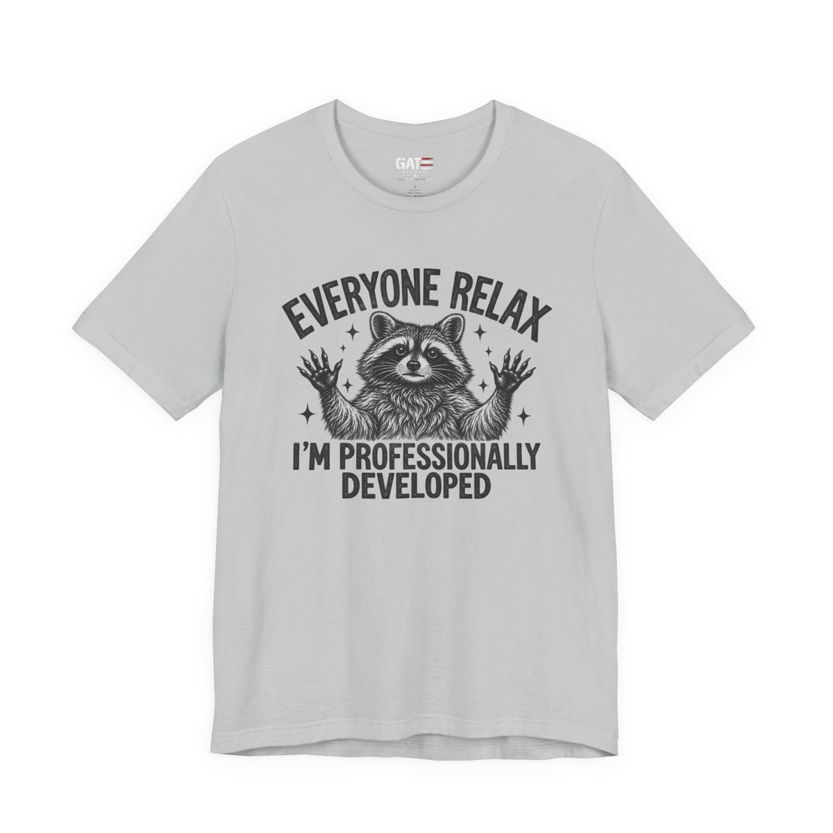 Funny Teacher Raccoon Shirt – I’m Professionally Developed – product photo