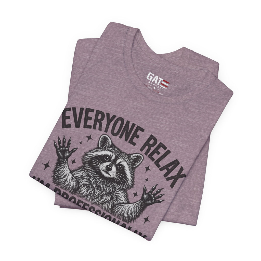 Funny Teacher Raccoon Shirt – I’m Professionally Developed – product photo