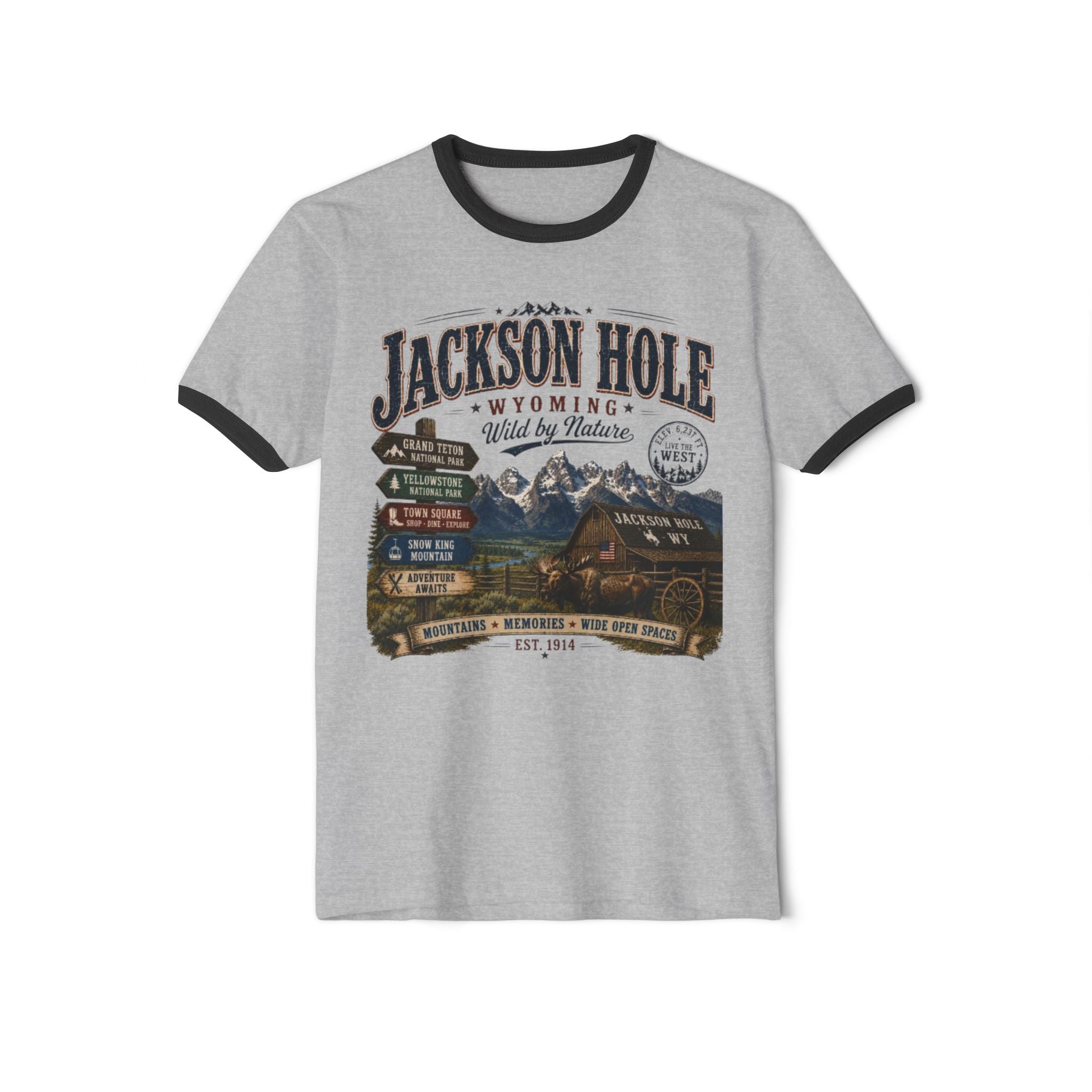 Jackson Hole Vintage Scenic Tee