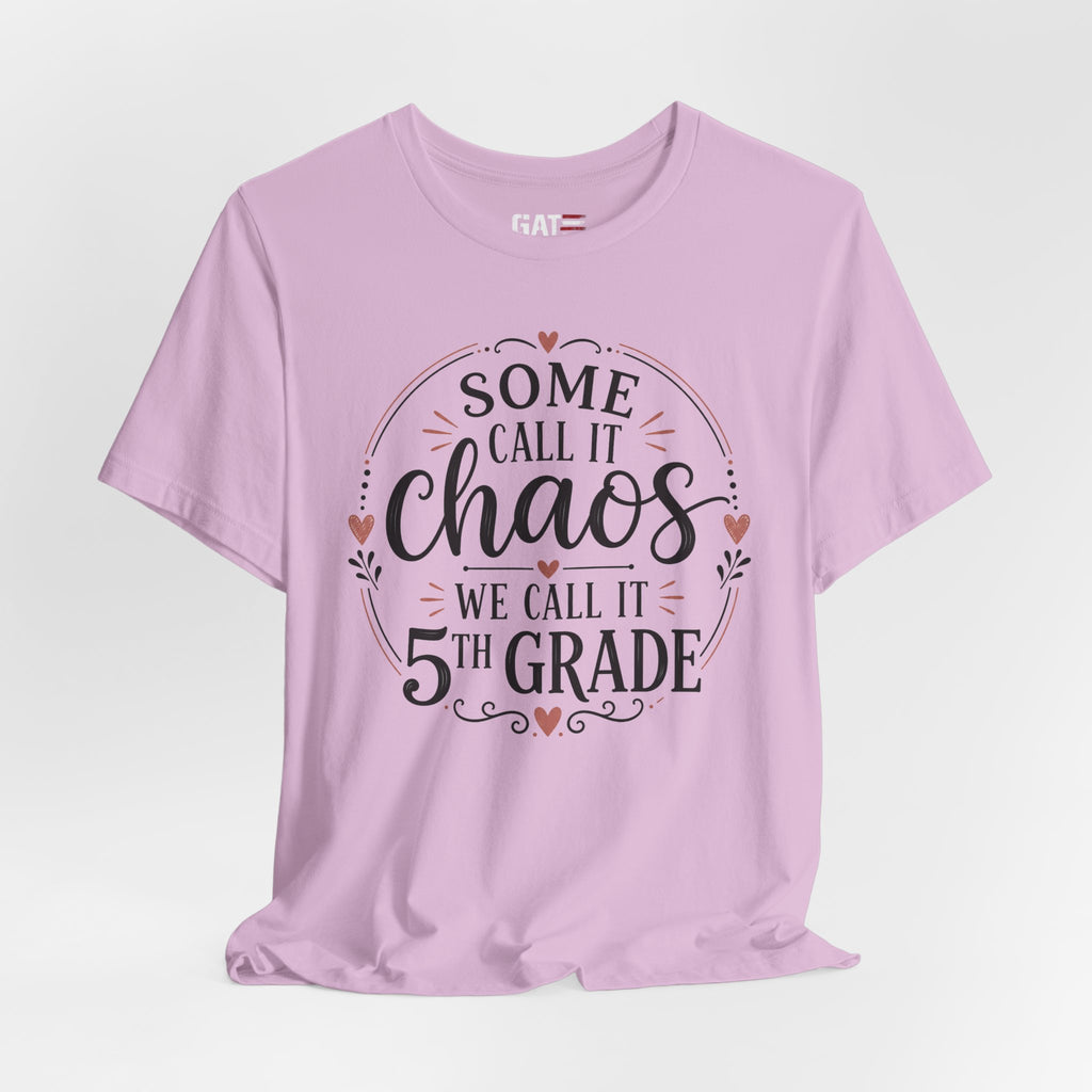 Elementary School Teacher Shirt, Funny Teacher Tee, Middle School Teacher Gift, High School Teacher Shirt, Classroom Humor Tee