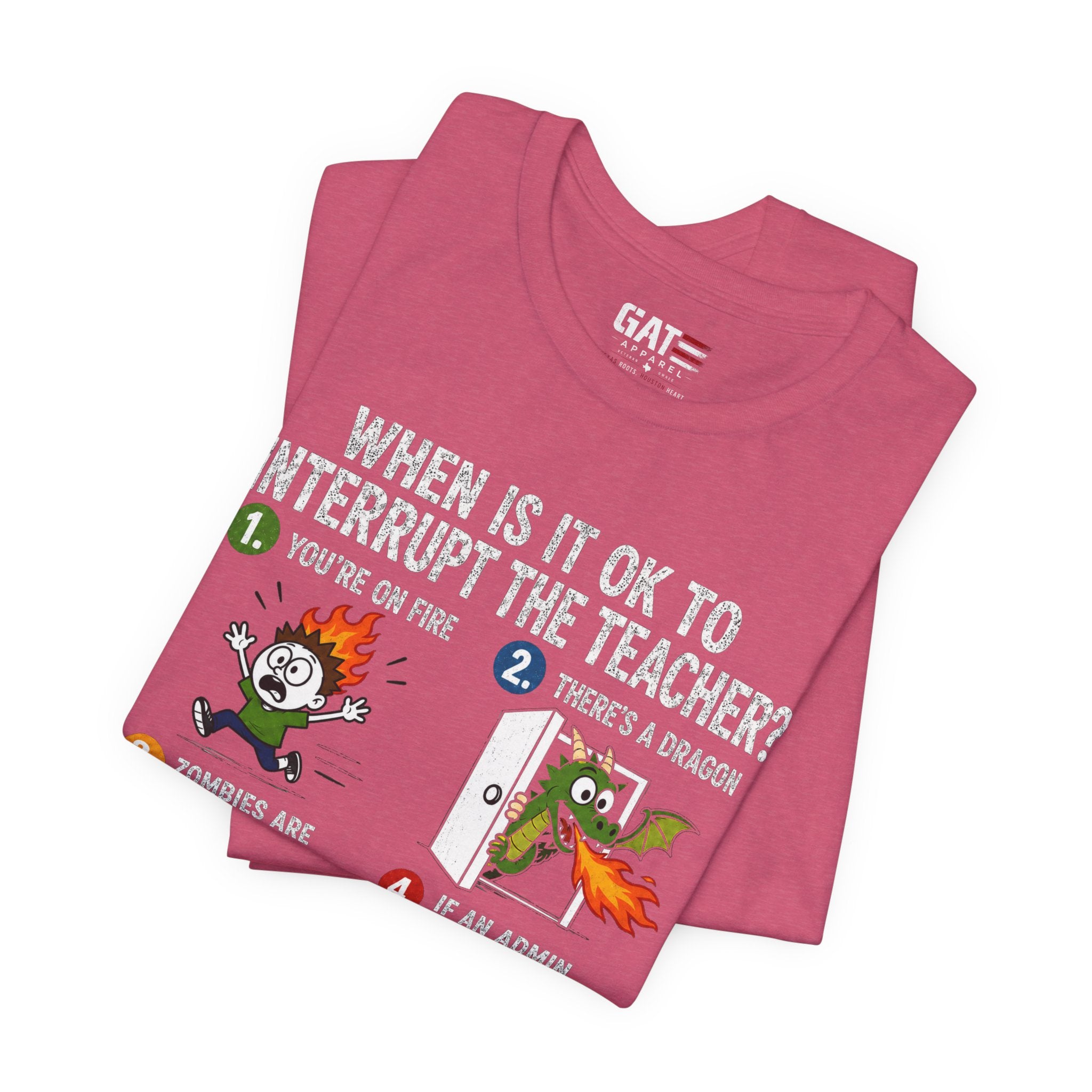 Funny Teacher Shirt, Teacher Humor Tee, Teacher Appreciation Gift, Back to School Shirt, Classroom Humor Gift for Teachers