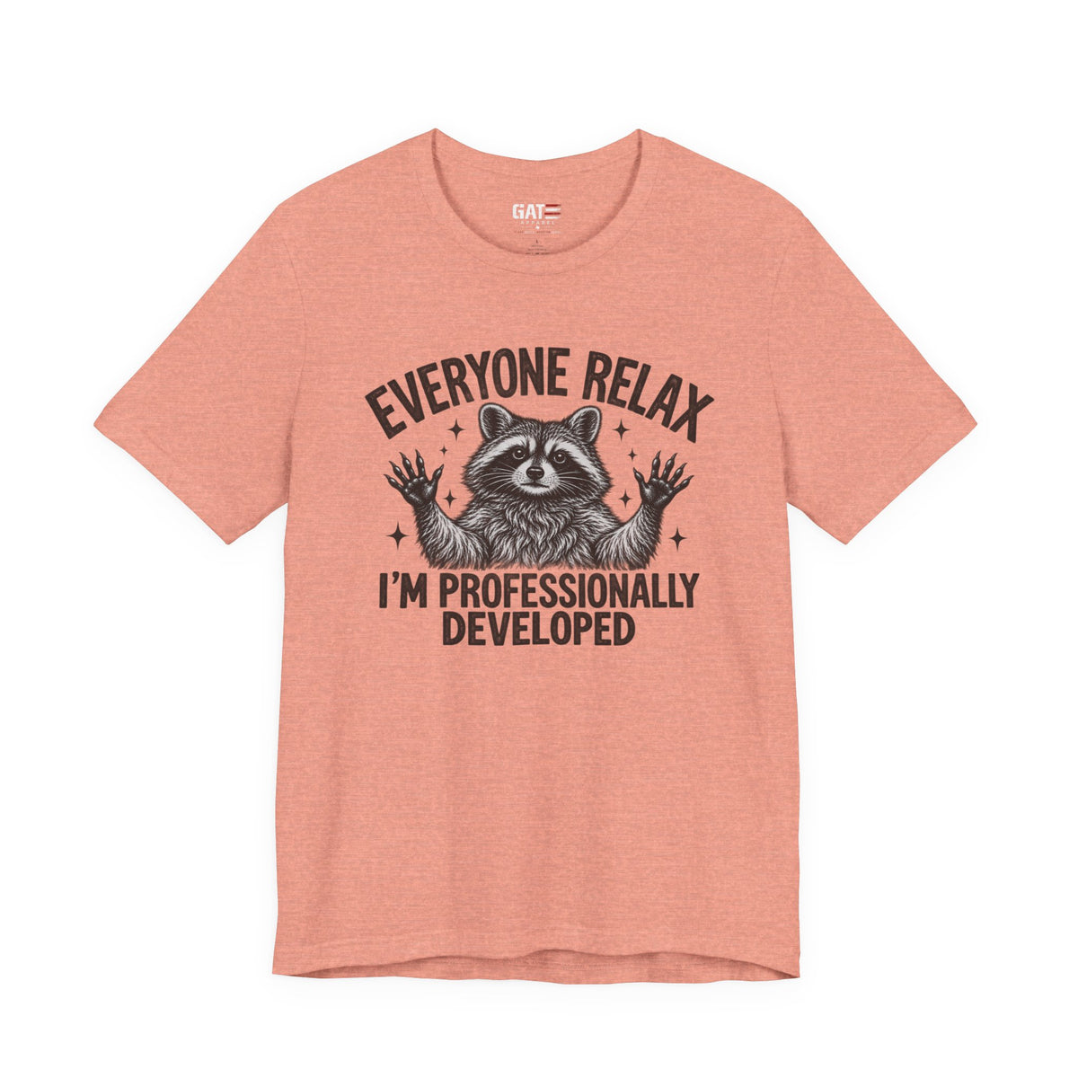 Funny Teacher Raccoon Shirt – I’m Professionally Developed – product photo