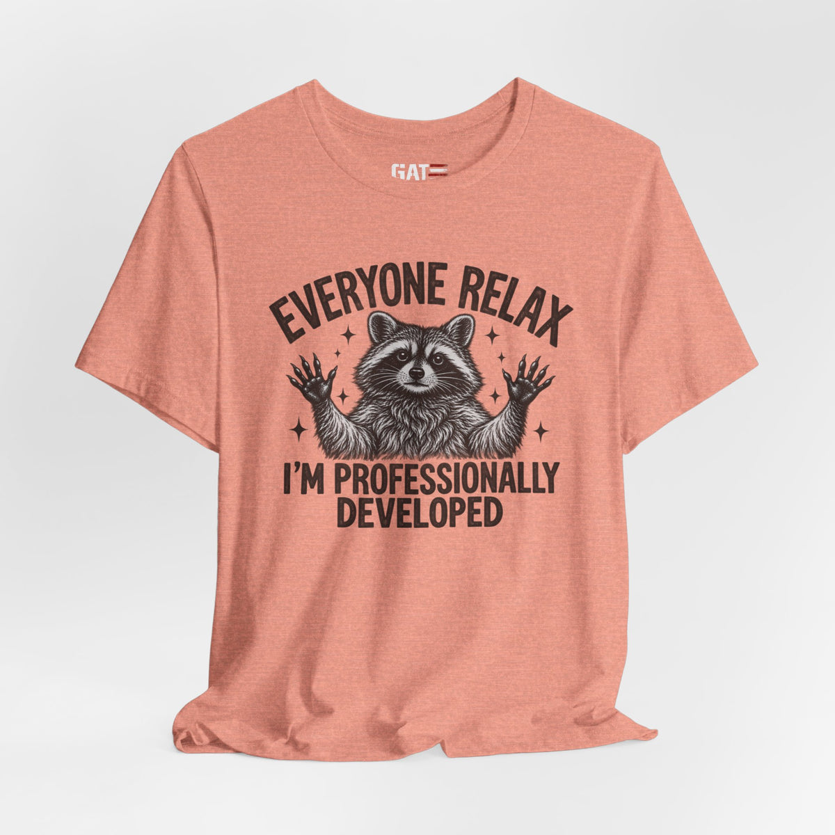 Funny Teacher Raccoon Shirt – I’m Professionally Developed – product photo