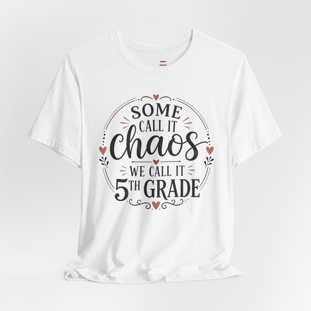 Elementary School Teacher Shirt, Funny Teacher Tee, Middle School Teacher Gift, High School Teacher Shirt, Classroom Humor Tee