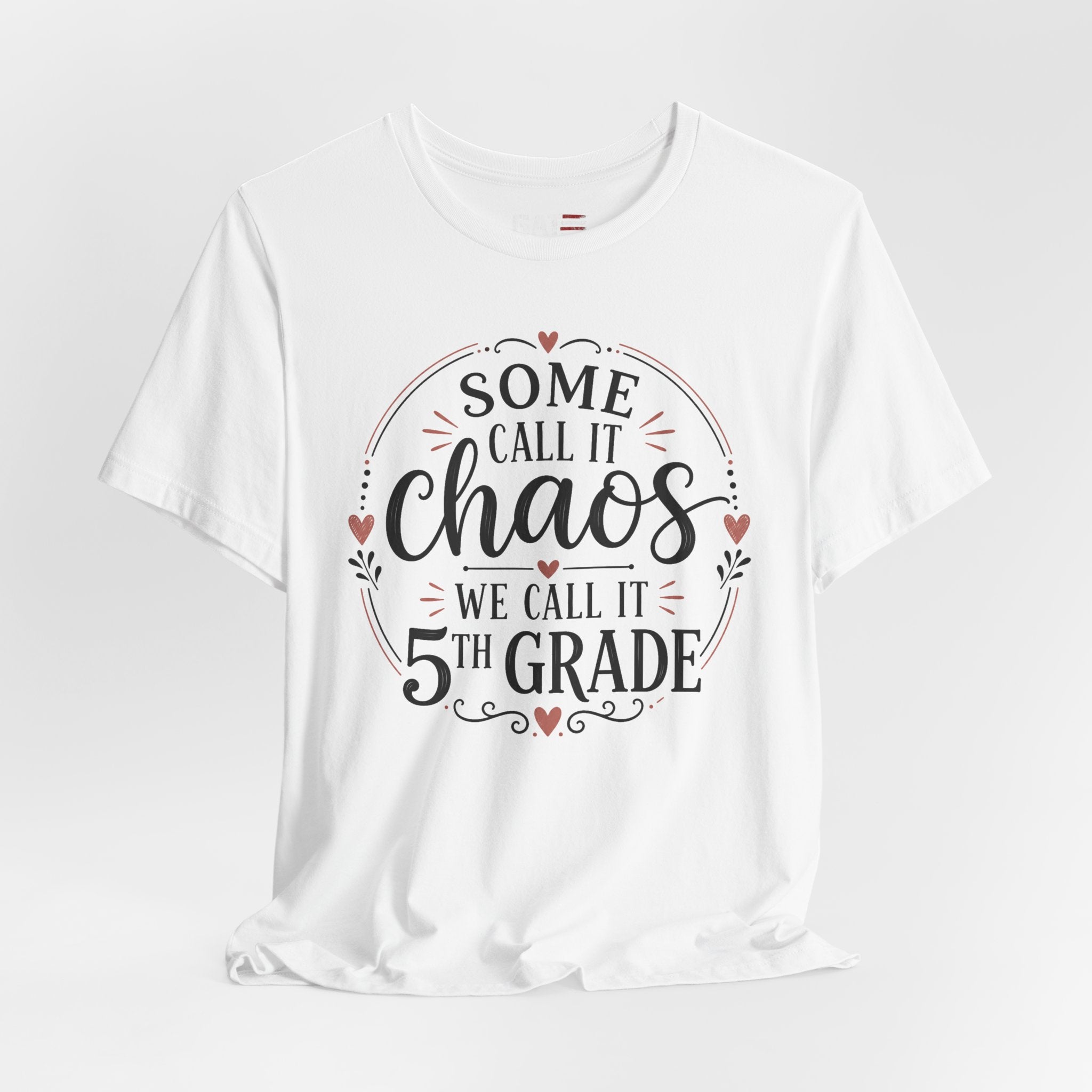 Elementary School Teacher Shirt, Funny Teacher Tee, Middle School Teacher Gift, High School Teacher Shirt, Classroom Humor Tee