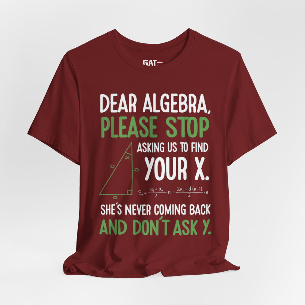 Funny Math Teacher Graphic Tee| Algebra Teacher