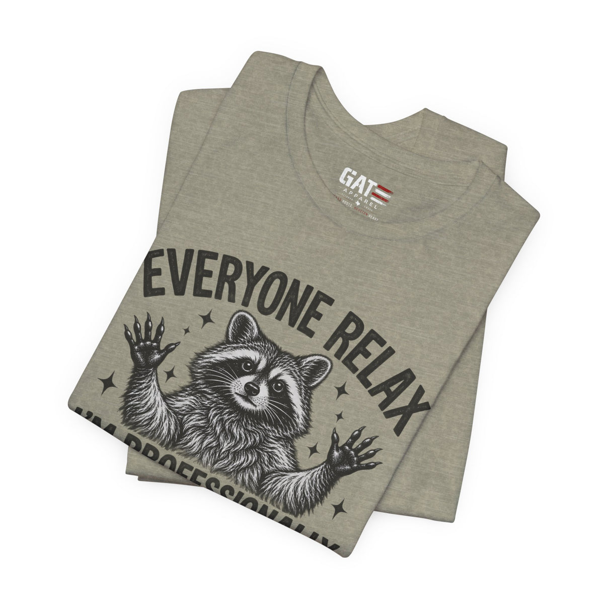 Funny Teacher Raccoon Shirt – I’m Professionally Developed – product photo