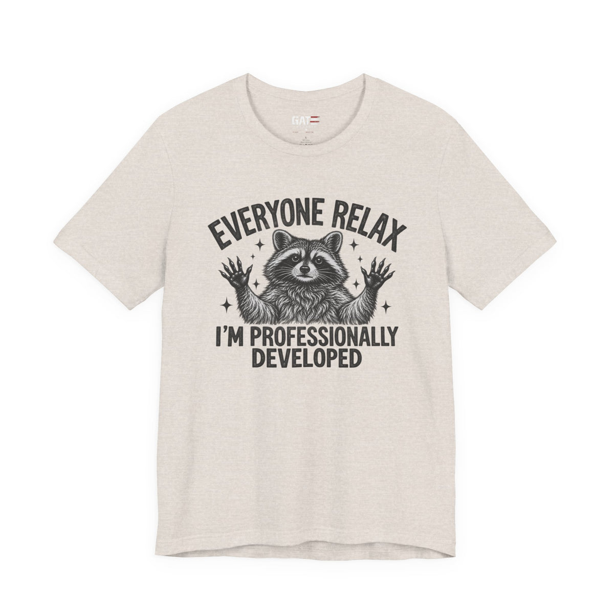 Funny Teacher Raccoon Shirt – I’m Professionally Developed – product photo