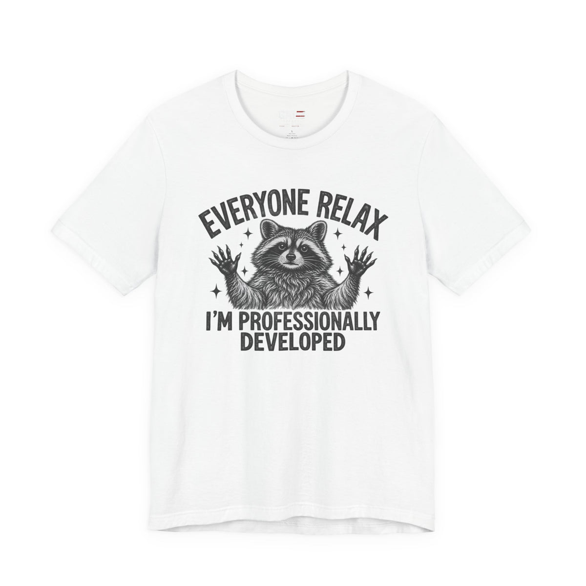 Funny Teacher Raccoon Shirt – I’m Professionally Developed – product photo