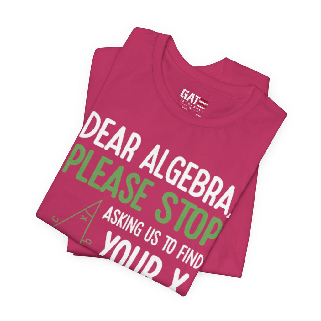 Funny Math Teacher Graphic Tee| Algebra Teacher