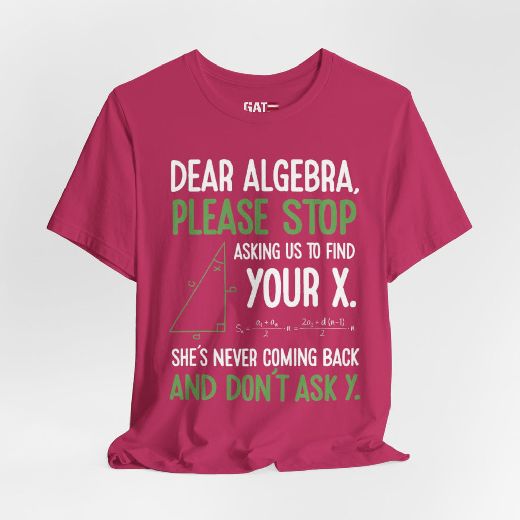 Funny Math Teacher Graphic Tee| Algebra Teacher
