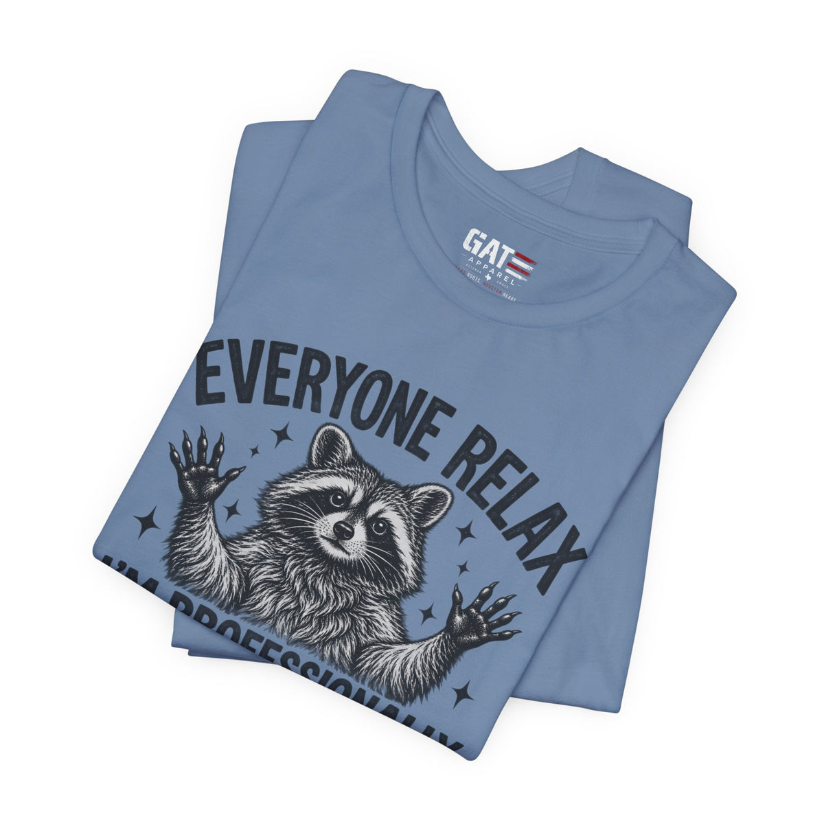 Funny Teacher Raccoon Shirt – I’m Professionally Developed – product photo