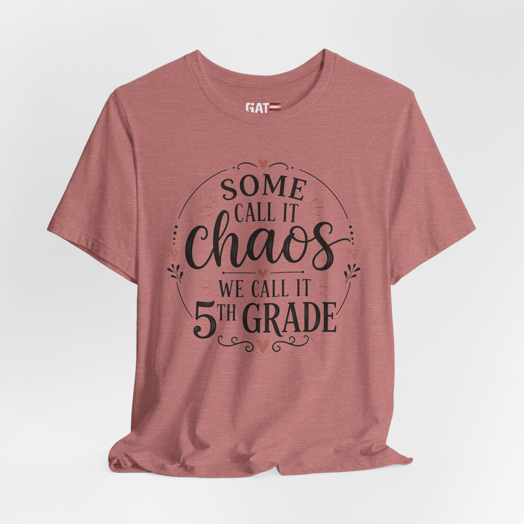 Elementary School Teacher Shirt, Funny Teacher Tee, Middle School Teacher Gift, High School Teacher Shirt, Classroom Humor Tee
