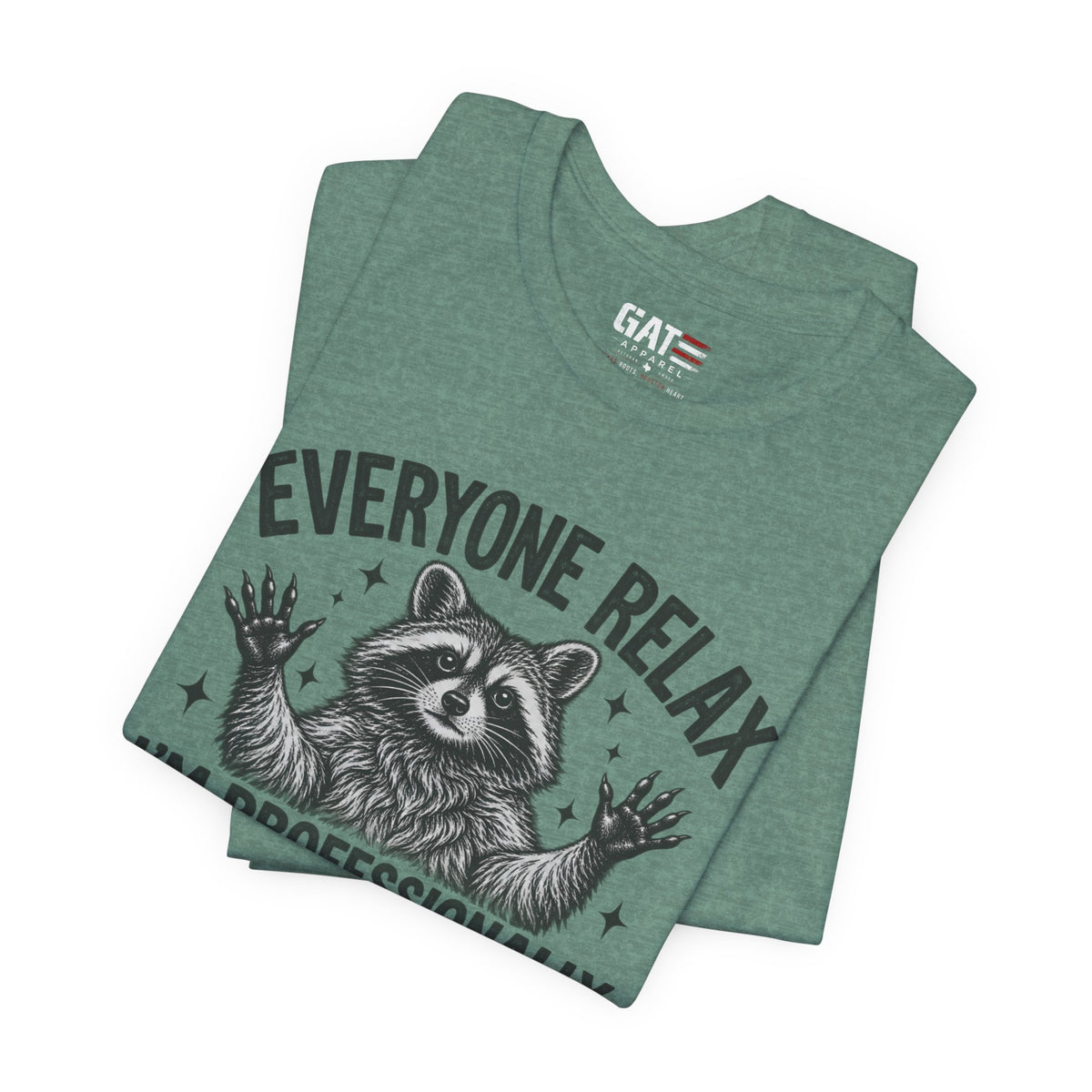 Funny Teacher Raccoon Shirt – I’m Professionally Developed – product photo