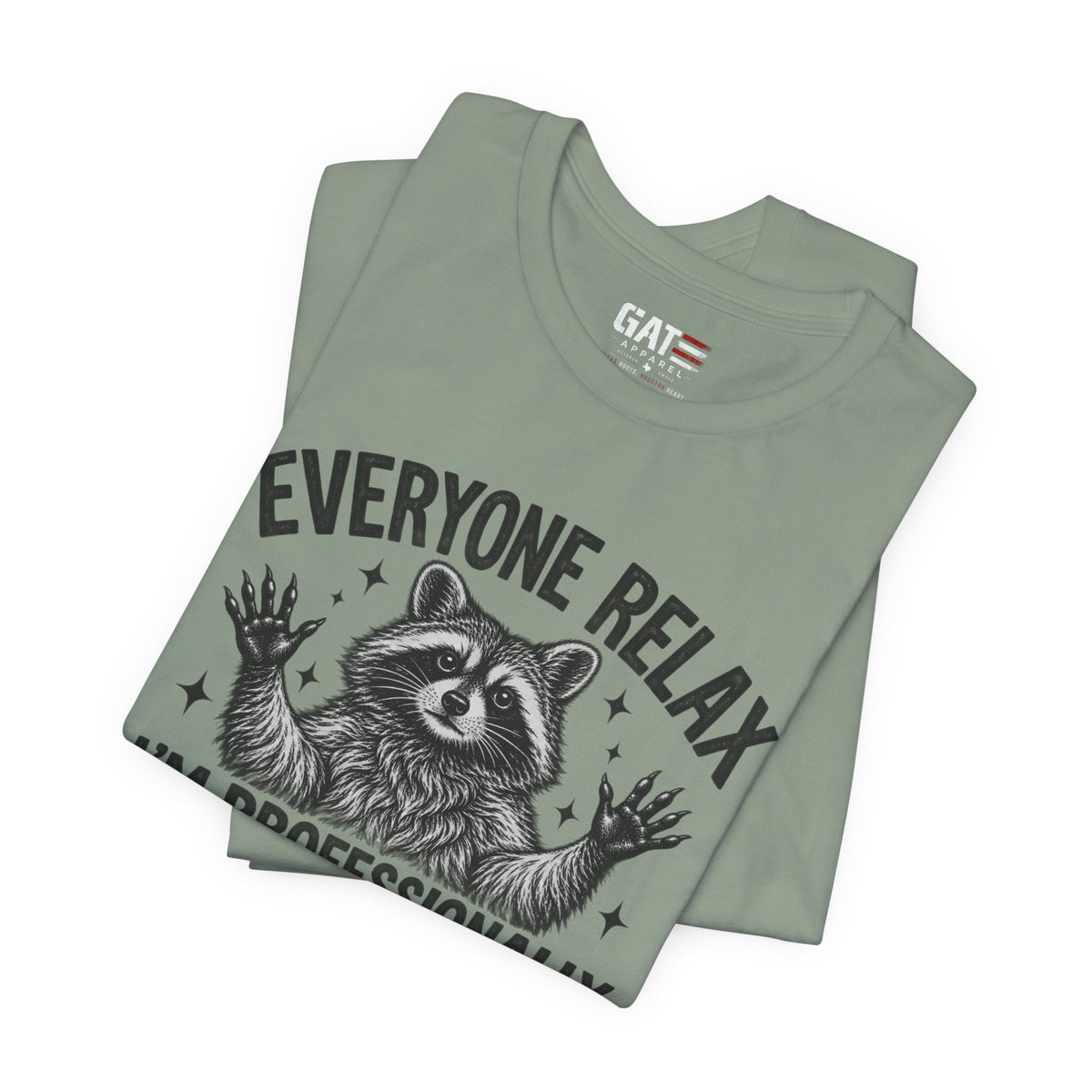 Funny Teacher Raccoon Shirt – I’m Professionally Developed – product photo