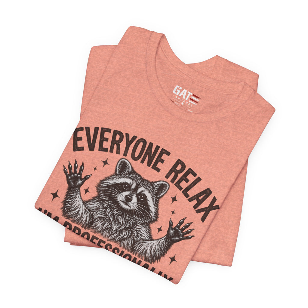 Funny Teacher Raccoon Shirt – I’m Professionally Developed – product photo