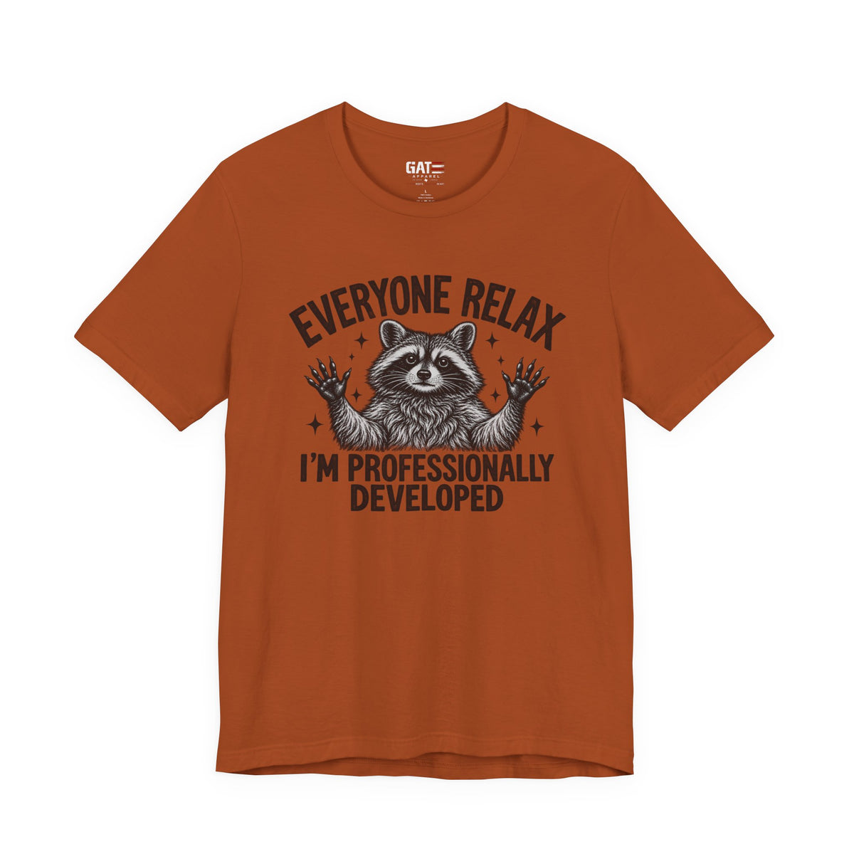 Funny Teacher Raccoon Shirt – I’m Professionally Developed – product photo