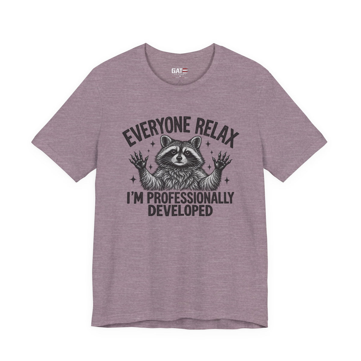 Funny Teacher Raccoon Shirt – I’m Professionally Developed – product photo