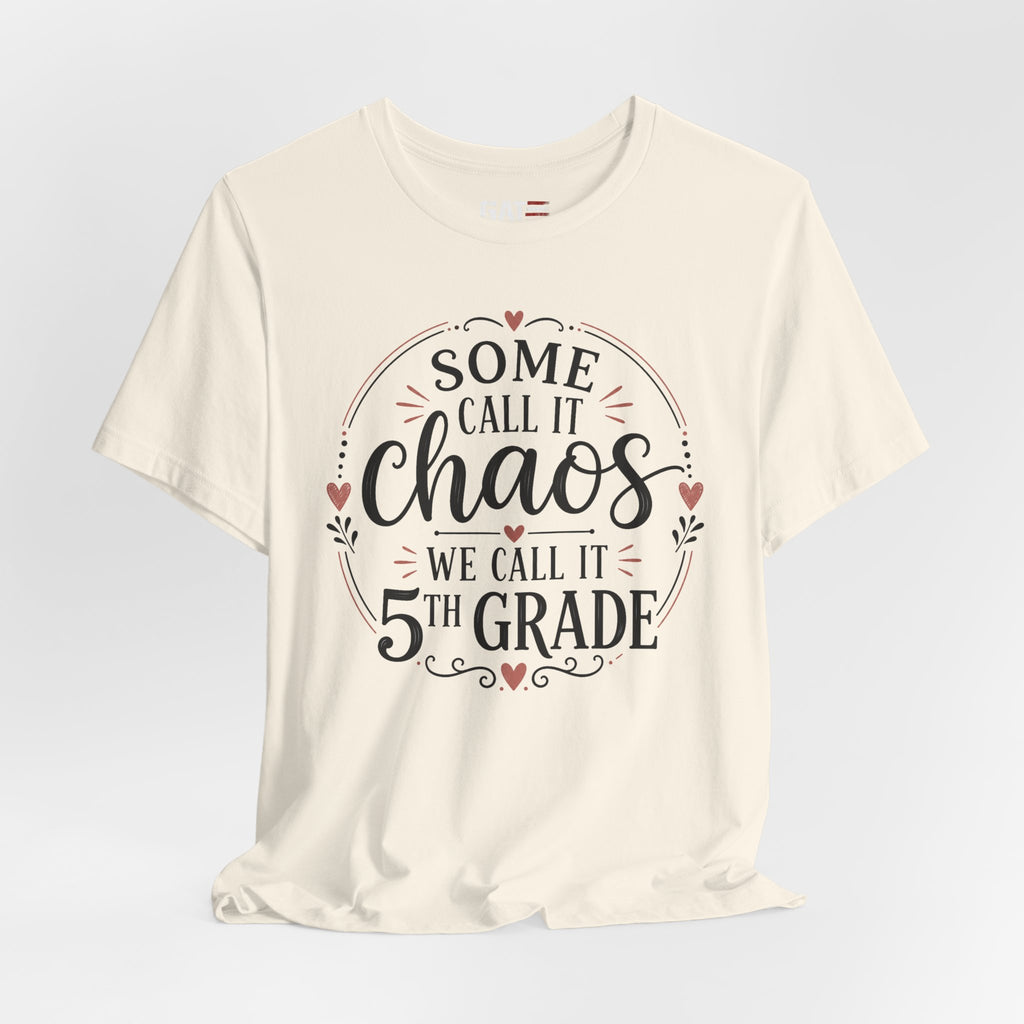 Elementary School Teacher Shirt, Funny Teacher Tee, Middle School Teacher Gift, High School Teacher Shirt, Classroom Humor Tee