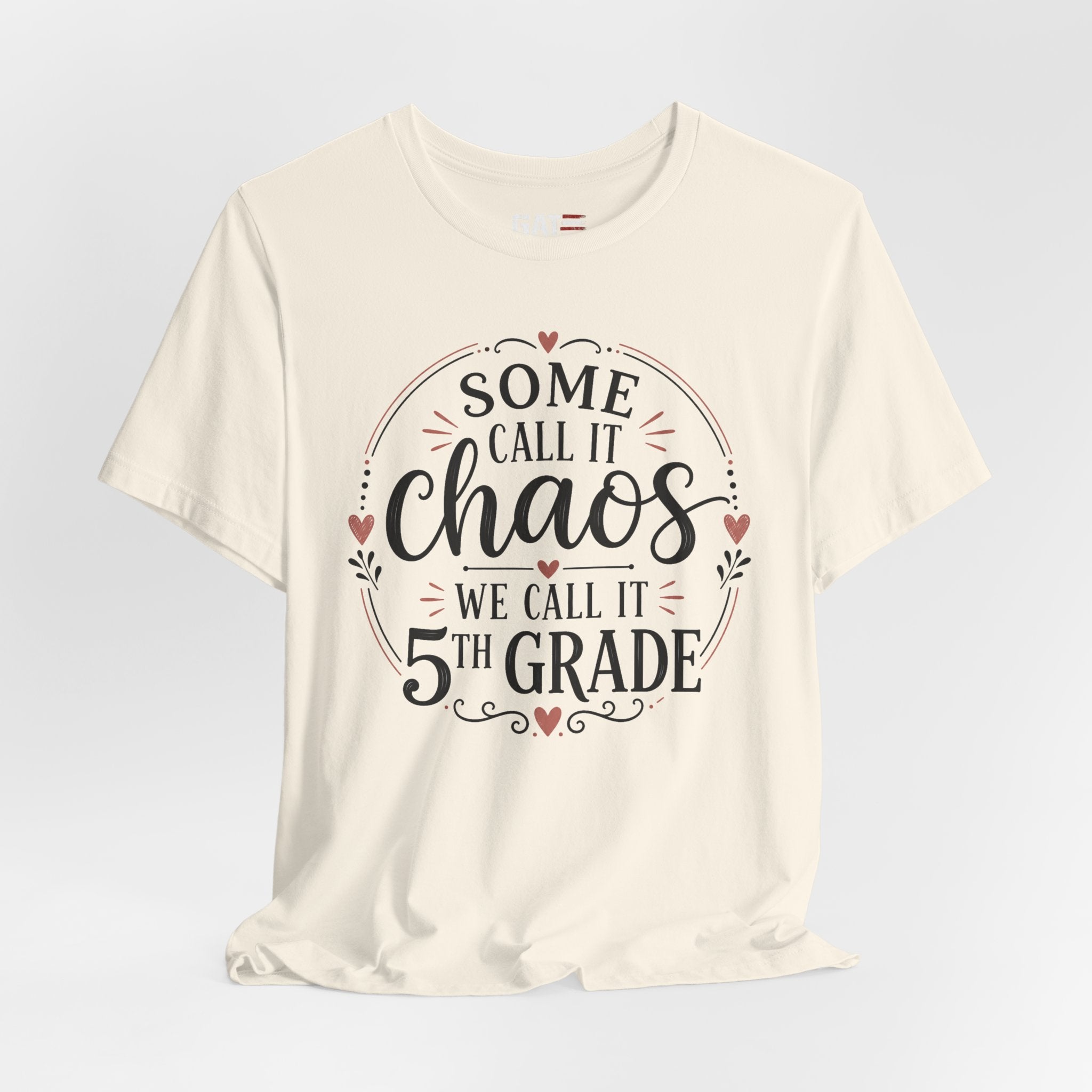Elementary School Teacher Shirt, Funny Teacher Tee, Middle School Teacher Gift, High School Teacher Shirt, Classroom Humor Tee
