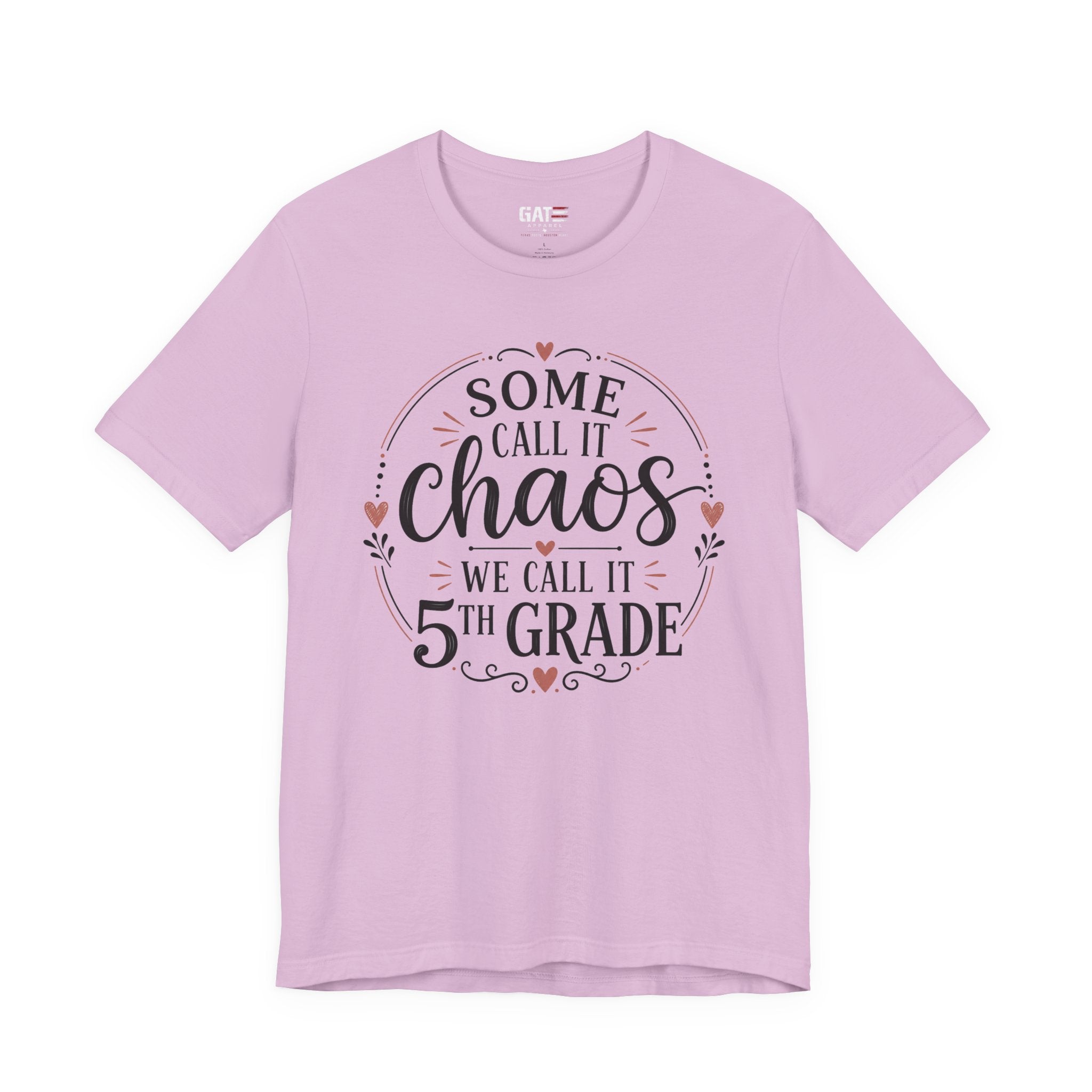 Elementary School Teacher Shirt, Funny Teacher Tee, Middle School Teacher Gift, High School Teacher Shirt, Classroom Humor Tee