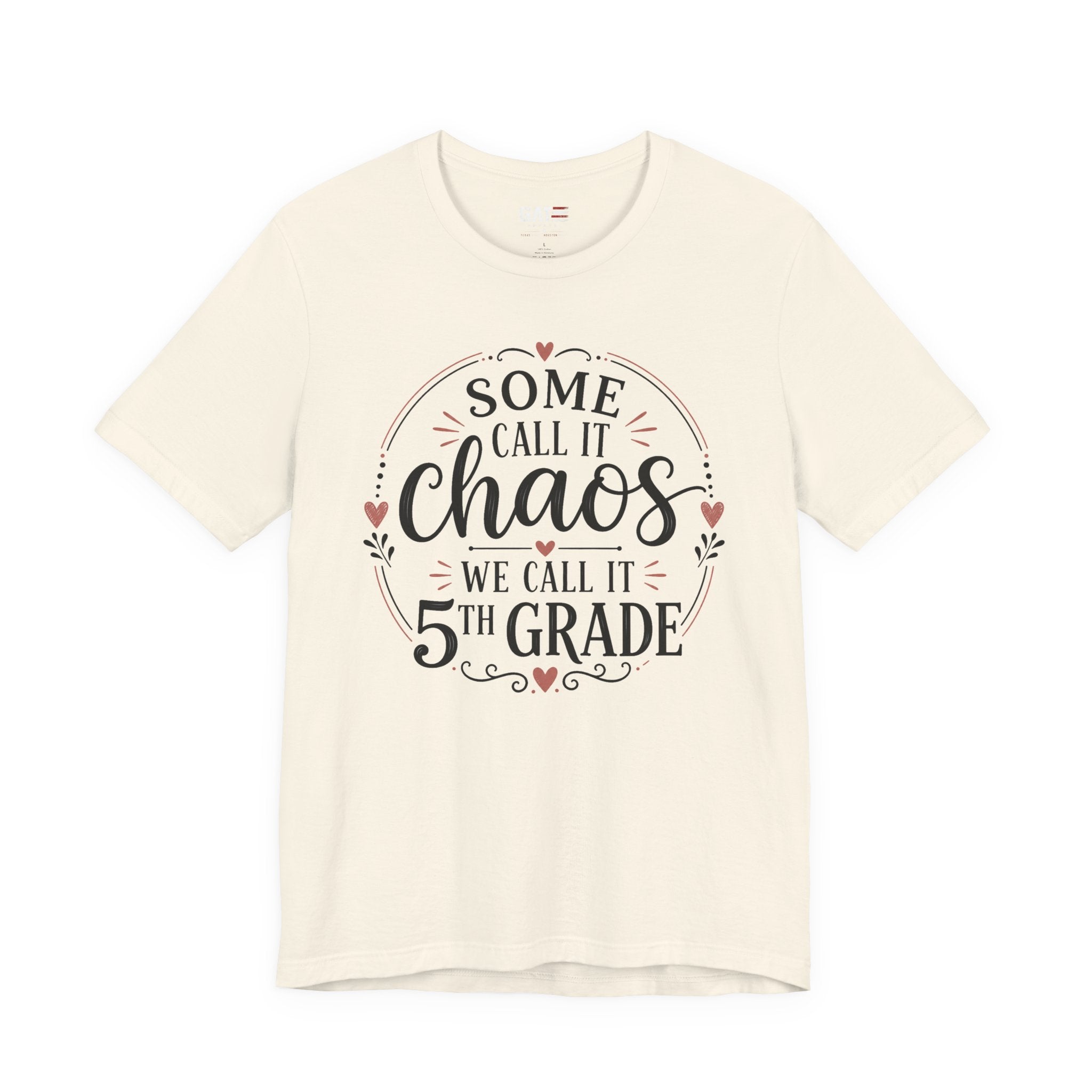 Elementary School Teacher Shirt, Funny Teacher Tee, Middle School Teacher Gift, High School Teacher Shirt, Classroom Humor Tee