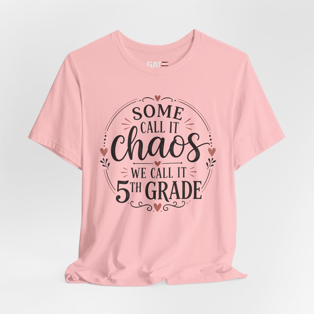 Elementary School Teacher Shirt, Funny Teacher Tee, Middle School Teacher Gift, High School Teacher Shirt, Classroom Humor Tee