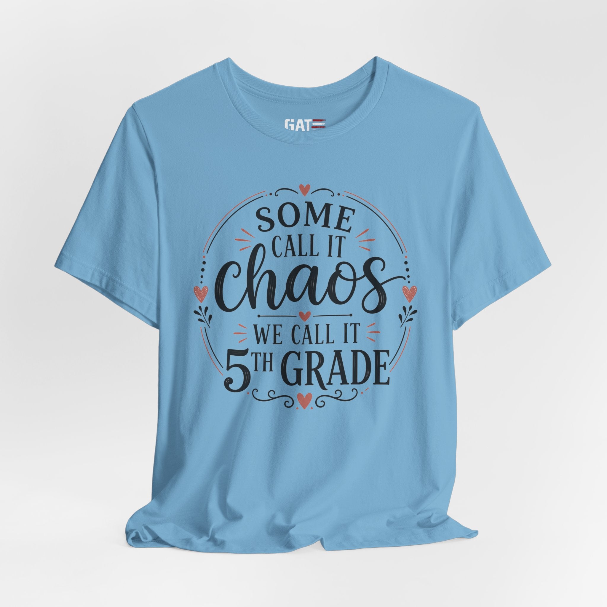 Elementary School Teacher Shirt, Funny Teacher Tee, Middle School Teacher Gift, High School Teacher Shirt, Classroom Humor Tee
