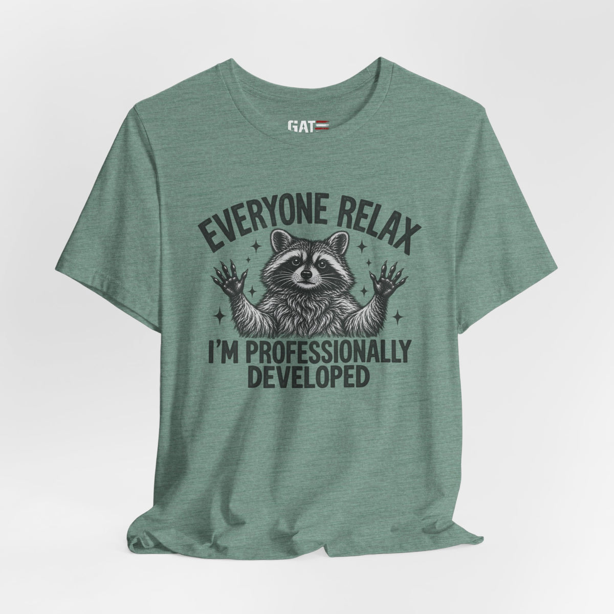 Funny Teacher Raccoon Shirt – I’m Professionally Developed – product photo