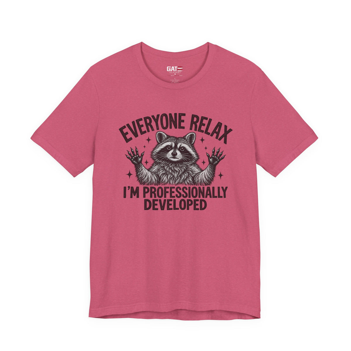 Funny Teacher Raccoon Shirt – I’m Professionally Developed – product photo