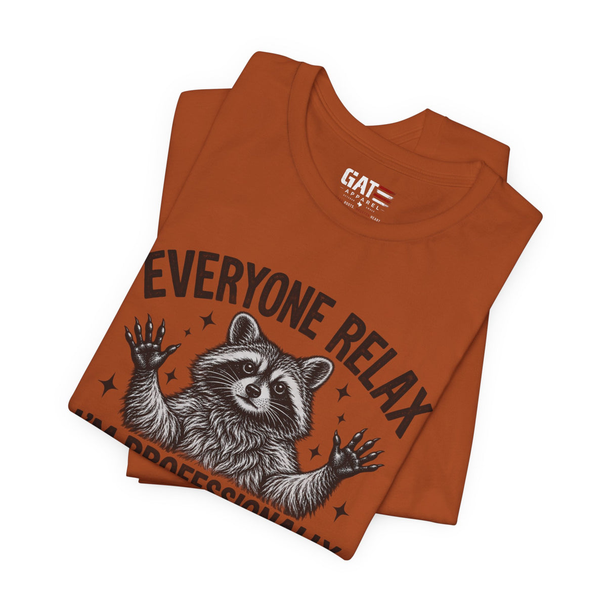 Funny Teacher Raccoon Shirt – I’m Professionally Developed – product photo