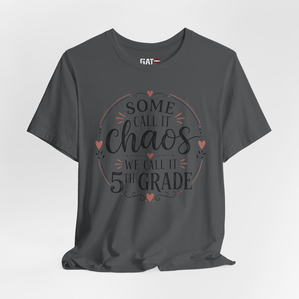 Elementary School Teacher Shirt, Funny Teacher Tee, Middle School Teacher Gift, High School Teacher Shirt, Classroom Humor Tee