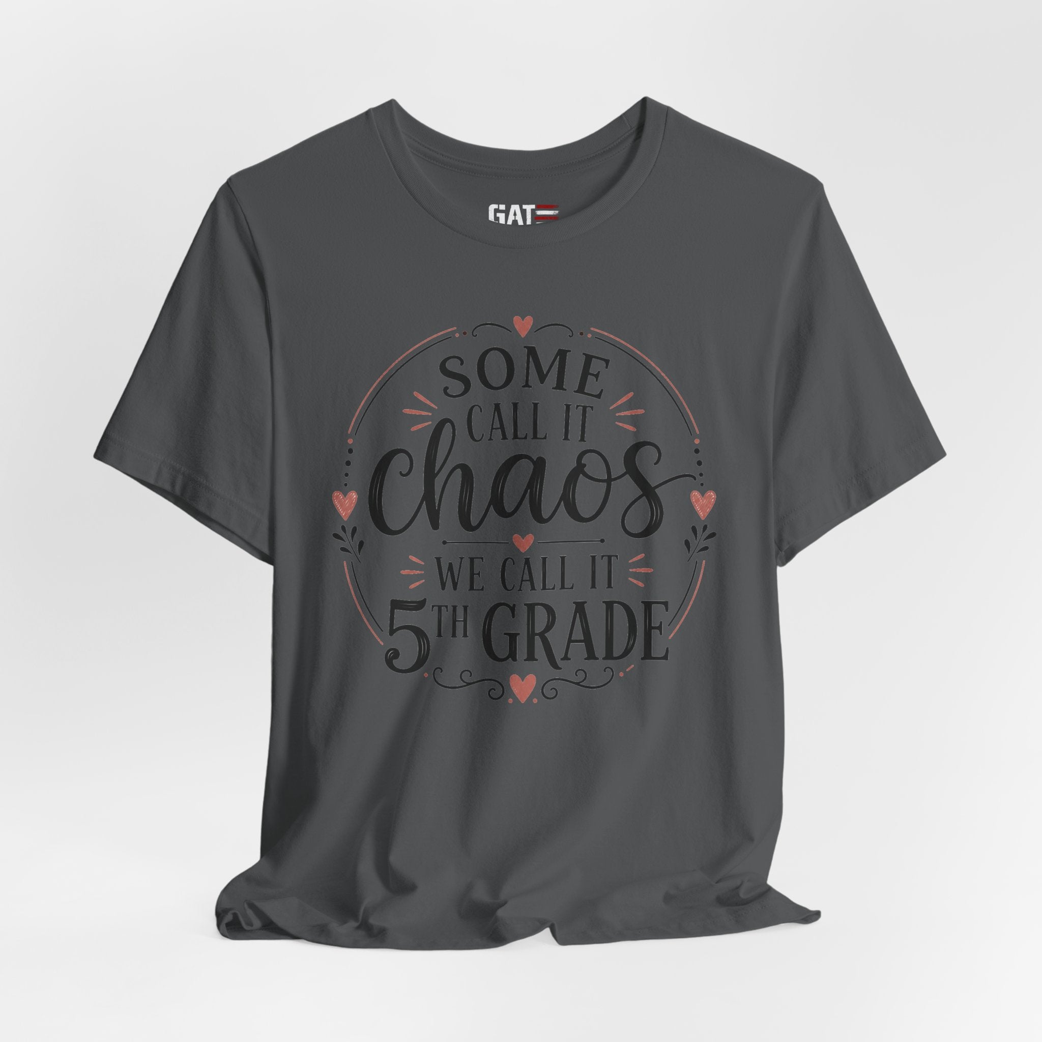 Elementary School Teacher Shirt, Funny Teacher Tee, Middle School Teacher Gift, High School Teacher Shirt, Classroom Humor Tee