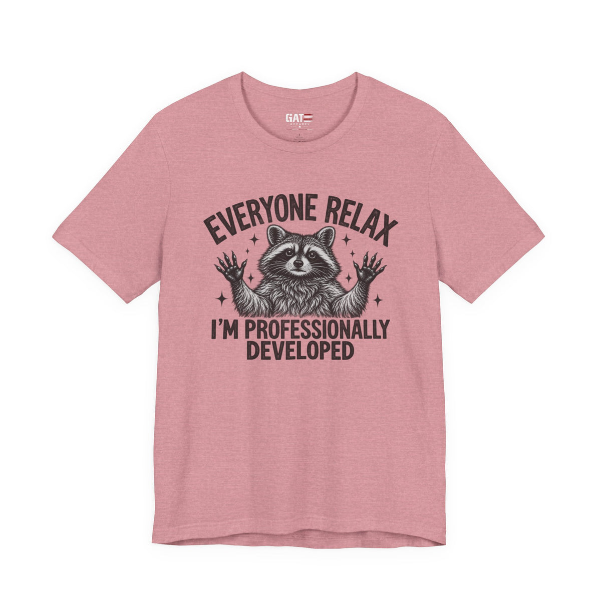 Funny Teacher Raccoon Shirt – I’m Professionally Developed – product photo