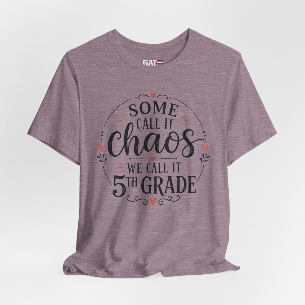 Elementary School Teacher Shirt, Funny Teacher Tee, Middle School Teacher Gift, High School Teacher Shirt, Classroom Humor Tee