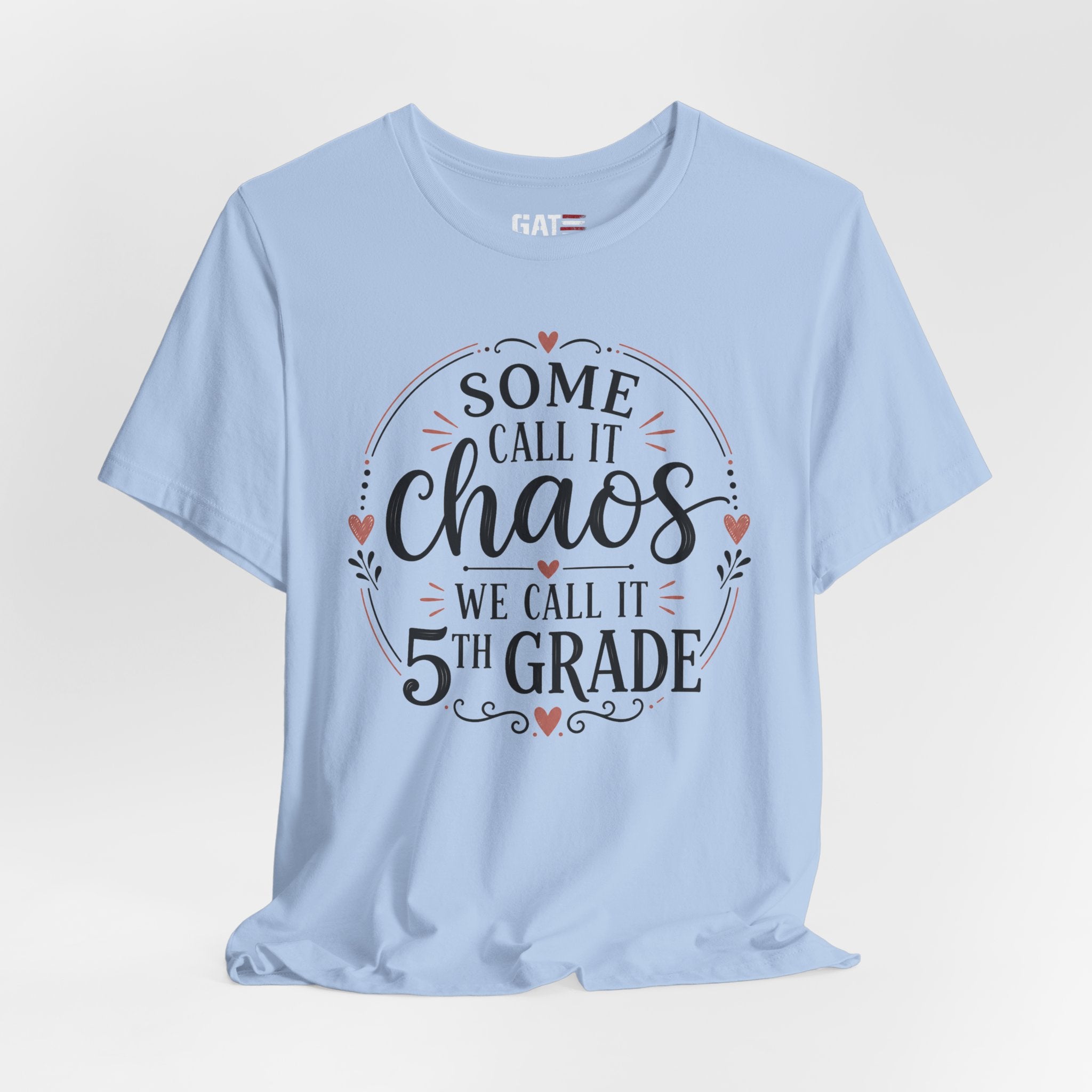 Elementary School Teacher Shirt, Funny Teacher Tee, Middle School Teacher Gift, High School Teacher Shirt, Classroom Humor Tee