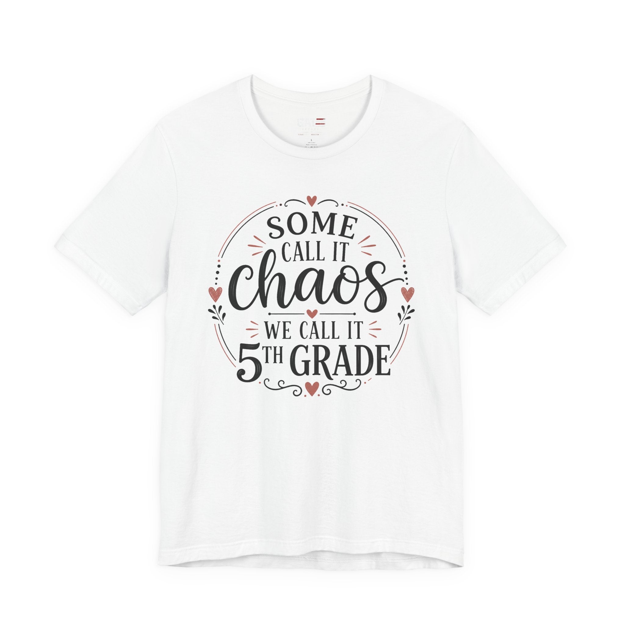 Elementary School Teacher Shirt, Funny Teacher Tee, Middle School Teacher Gift, High School Teacher Shirt, Classroom Humor Tee