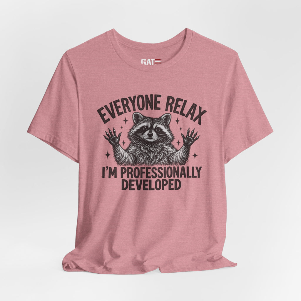 Funny Teacher Raccoon Shirt – I’m Professionally Developed – product photo