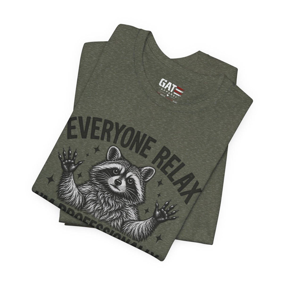 Funny Teacher Raccoon Shirt – I’m Professionally Developed – product photo