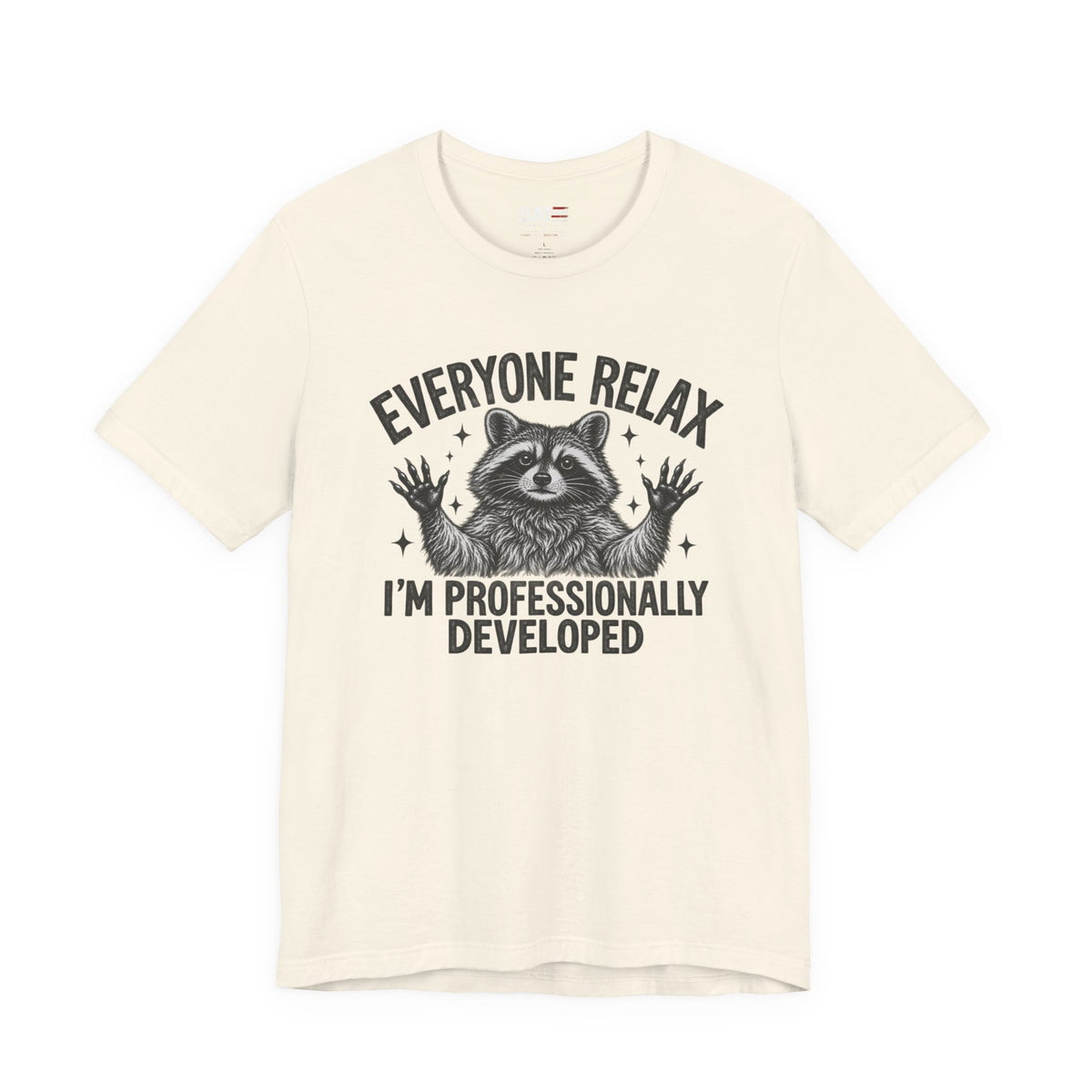 Funny Teacher Raccoon Shirt – I’m Professionally Developed – product photo