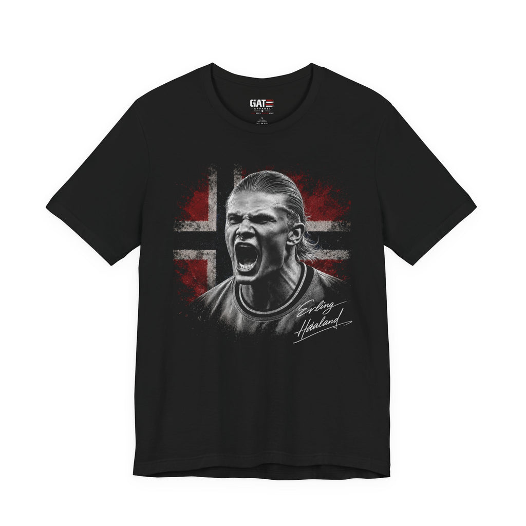 Norwegian Soccer| Erling Haaland Norway